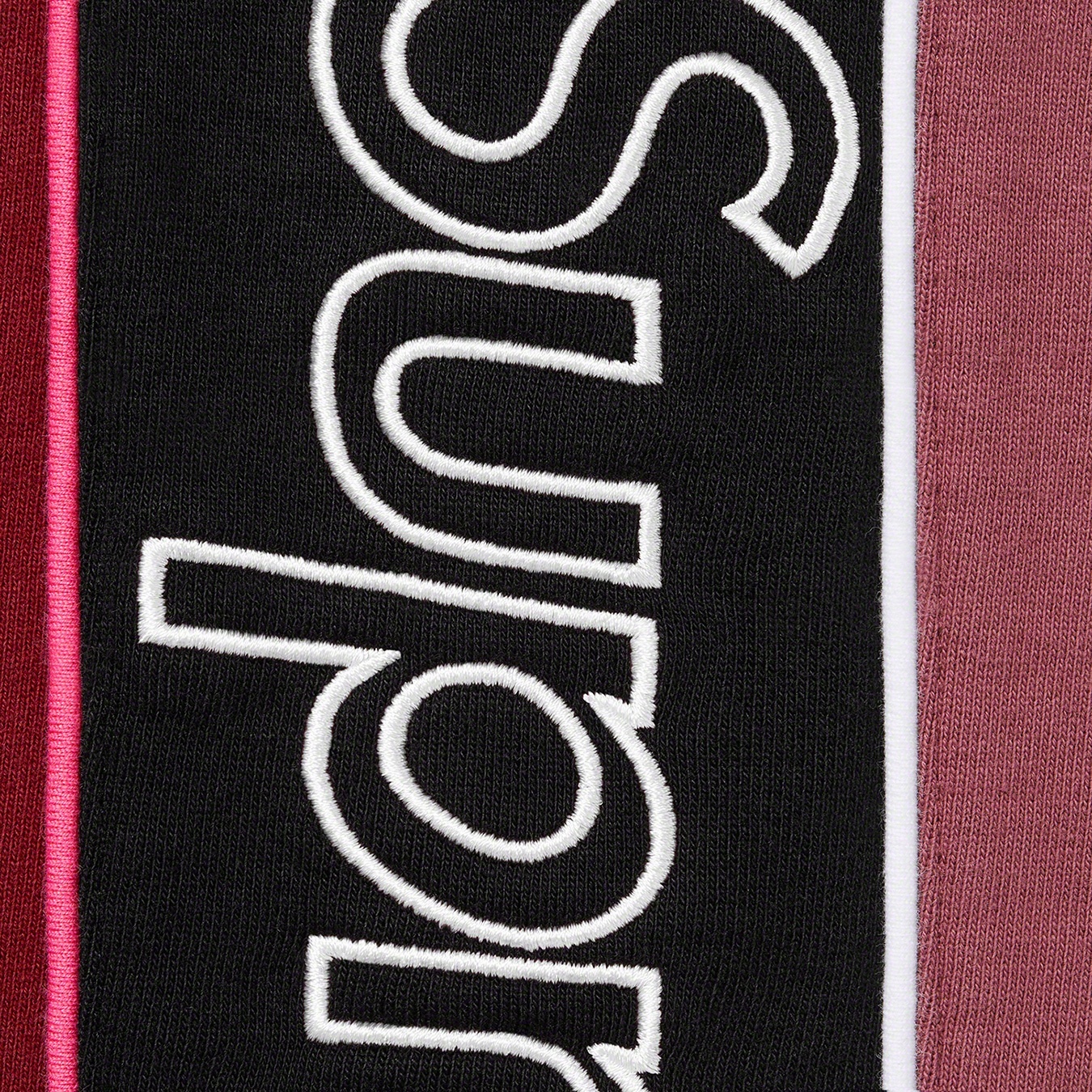 Track Paneled Sweatpant view 10